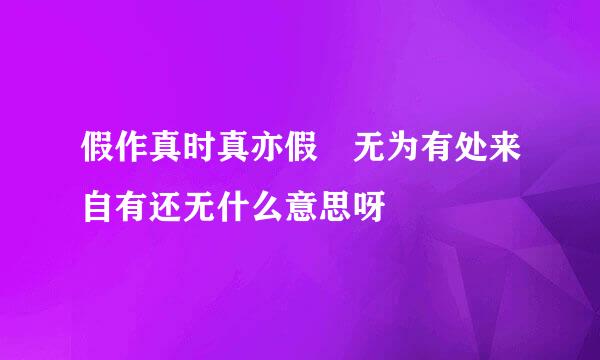 假作真时真亦假 无为有处来自有还无什么意思呀
