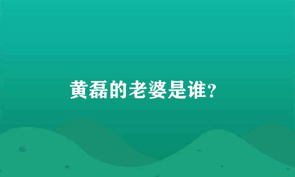 黄磊的老婆是谁？