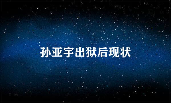 孙亚宇出狱后现状