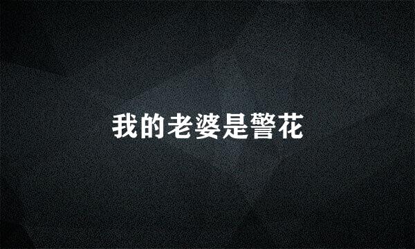 我的老婆是警花