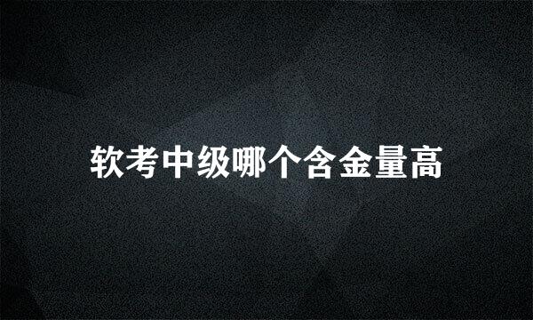 软考中级哪个含金量高