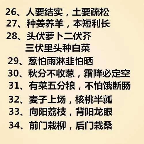 民间俗语大着星以亲全及解释
