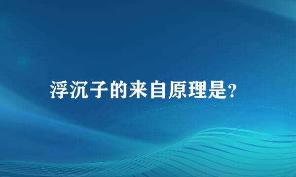浮沉子的来自原理是？