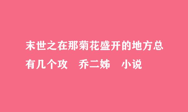 末世之在那菊花盛开的地方总有几个攻 乔二姊 小说