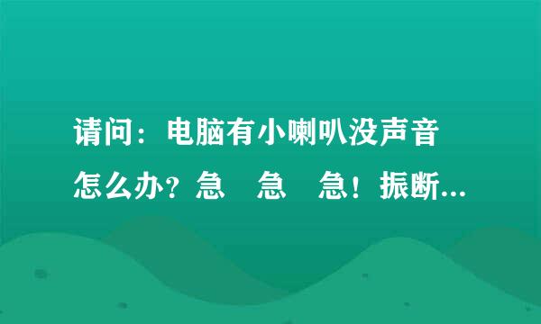 请问：电脑有小喇叭没声音 怎么办？急 急 急！振断范酒术！！！！