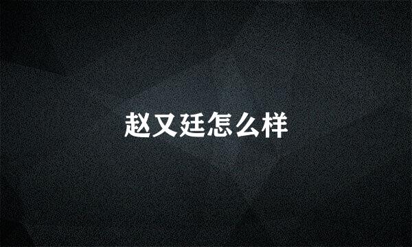 赵又廷怎么样