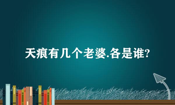天痕有几个老婆.各是谁?