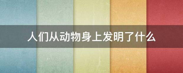 人们从动物身上发明了什么
