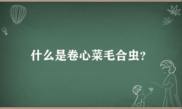 什么是卷心菜毛合虫？