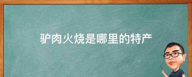 驴肉火来自烧是哪里的特产
