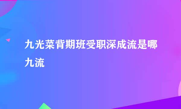 九光菜背期班受职深成流是哪九流