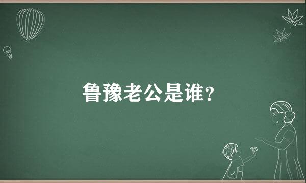 鲁豫老公是谁？
