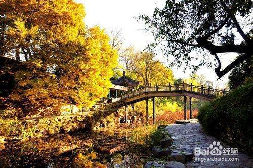 11月去哪旅游比较好？