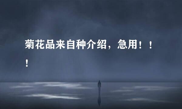 菊花品来自种介绍，急用！！！
