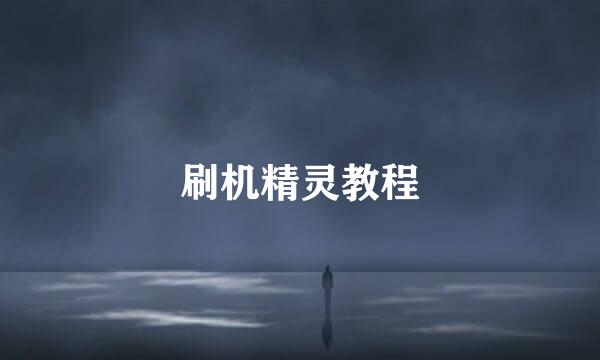 刷机精灵教程