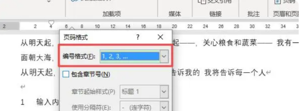页码格式怎么设置