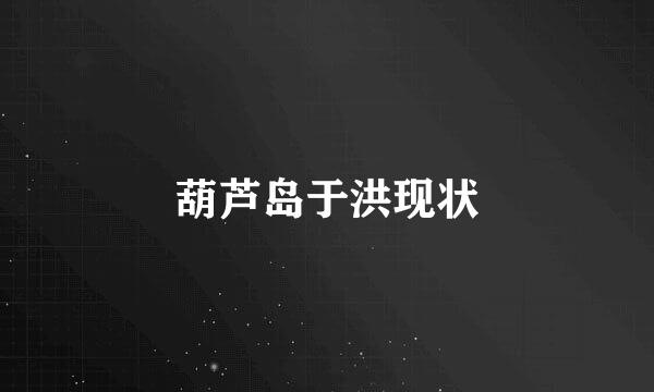 葫芦岛于洪现状