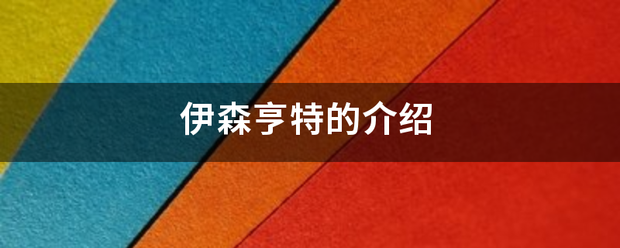 伊森亨特的介绍