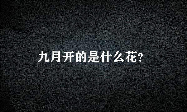 九月开的是什么花？