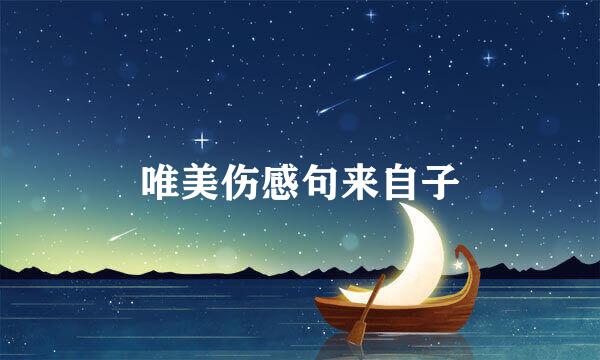 唯美伤感句来自子