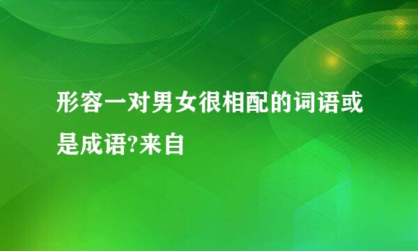 形容一对男女很相配的词语或是成语?来自