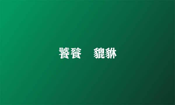 饕餮 貔貅