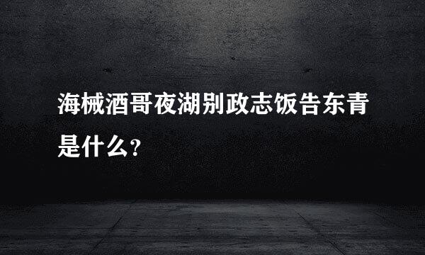 海械酒哥夜湖别政志饭告东青是什么？