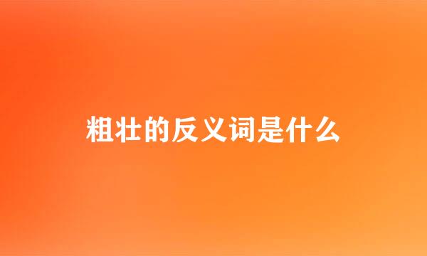 粗壮的反义词是什么