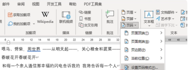 页码格式怎么设置