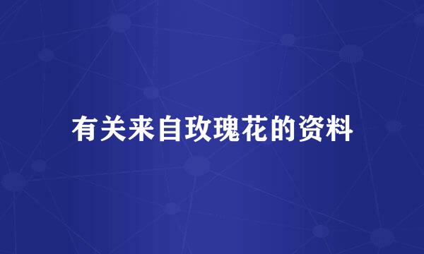 有关来自玫瑰花的资料