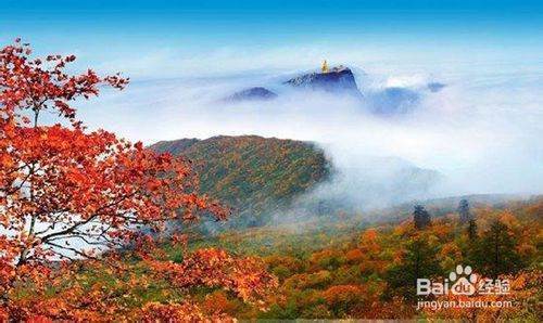 11月去哪旅游比较好？