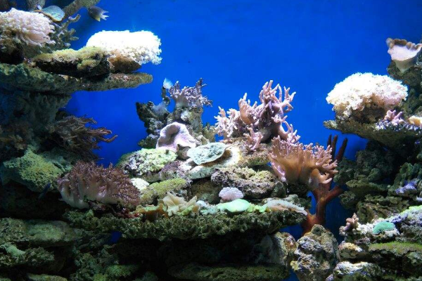 北海海底世界和海洋之窗哪个好玩？