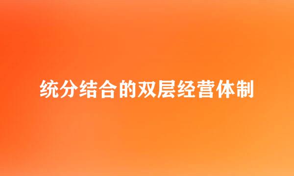 统分结合的双层经营体制