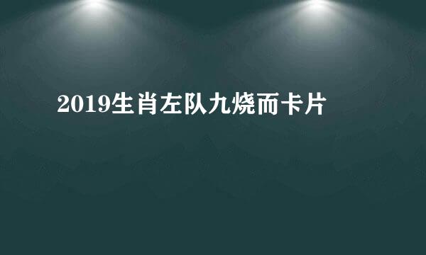 2019生肖左队九烧而卡片