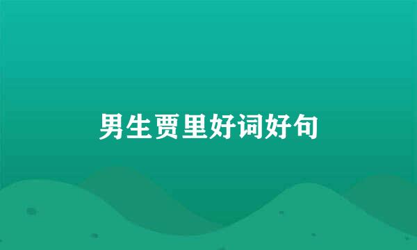 男生贾里好词好句