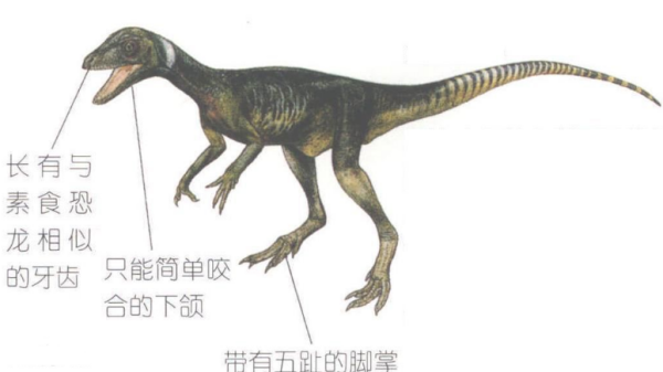 最早的恐龙是什么？