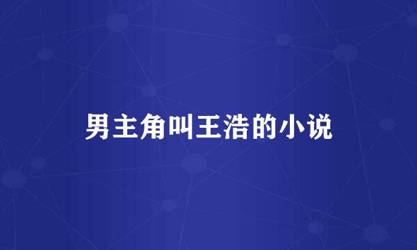 男主角叫王浩的小说