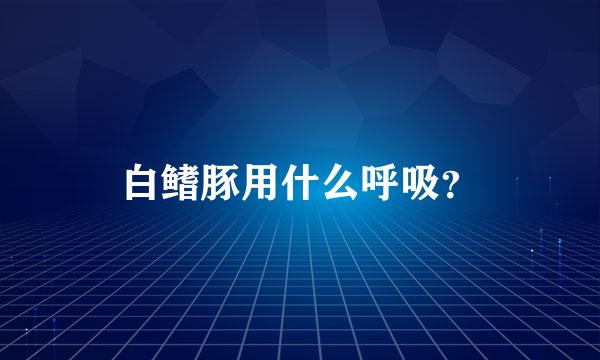 白鳍豚用什么呼吸？