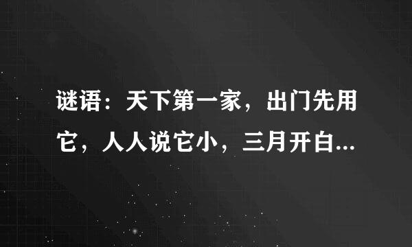 谜语：天下第一家，出门先用它，人人说它小，三月开白花。打四种姓