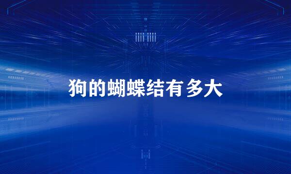 狗的蝴蝶结有多大