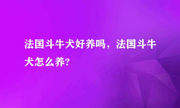 法国斗牛犬好养吗，法国斗牛犬怎么养?