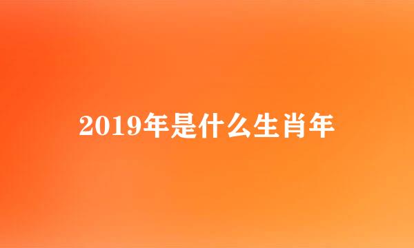 2019年是什么生肖年