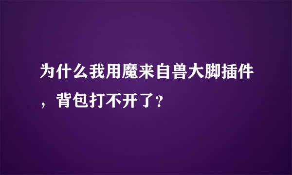 为什么我用魔来自兽大脚插件，背包打不开了？