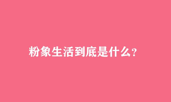 粉象生活到底是什么？