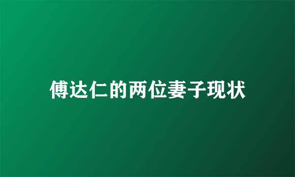 傅达仁的两位妻子现状