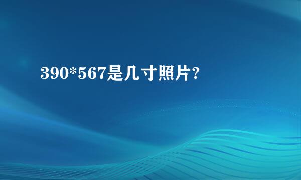 390*567是几寸照片?