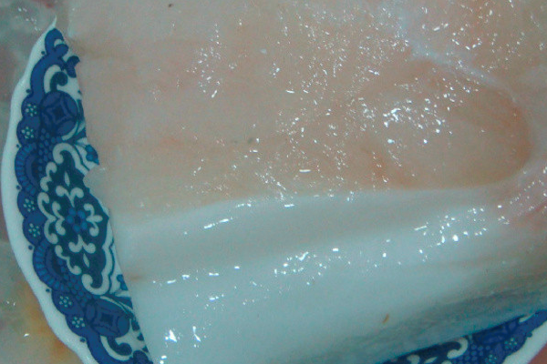 翻车鱼能不能食用