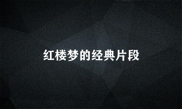红楼梦的经典片段