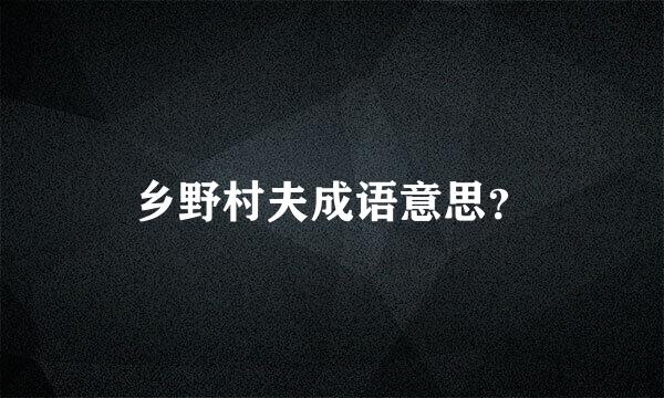 乡野村夫成语意思？