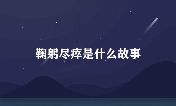 鞠躬尽瘁是什么故事